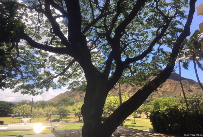 Diamond Head View from the unit