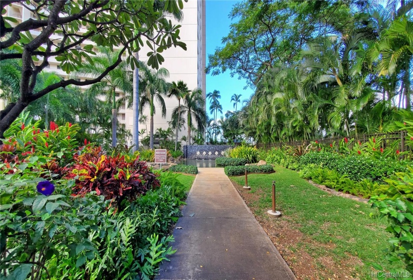 Walking path to the pond.