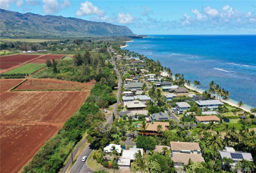 Kaena Point, Dillingham Ranch/Polo Field, and Dillingham Airfield just minutes away.  Stroll for miles on the beachor dive/fish, paddleboard!