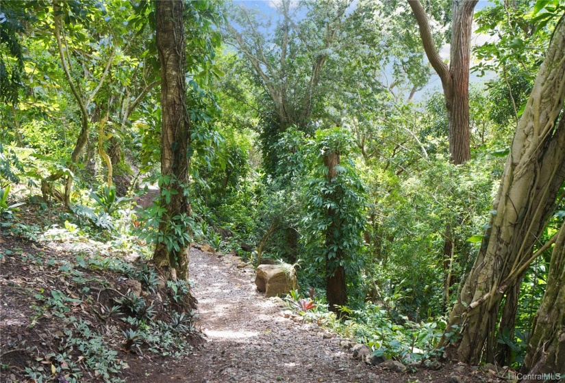 Trail on Lot D, walking towards Lot C