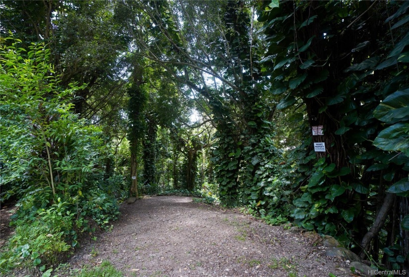 Road from Lai road into Unit A and Unit B on the southern side of the property.