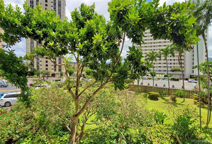 View from the lanai. Feels very private- not facing another building nor unit.