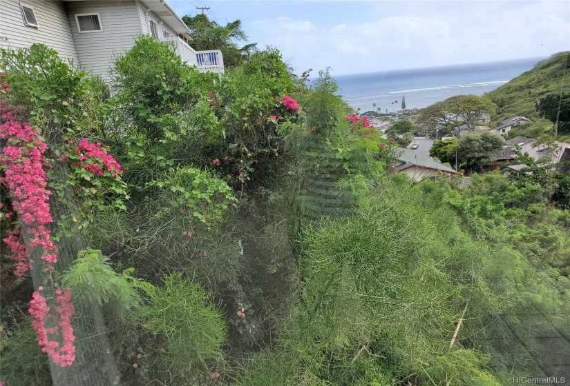 Spectacular views towards the ocean, as seen from downstairs bedrooms.