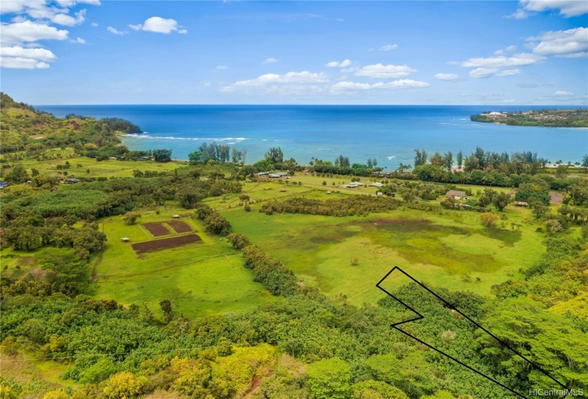 Waipa Foundation leases most of the surrounding land from Kamehameha Schools/Bishop Estate.