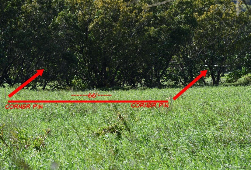 Corner pins in pasture.