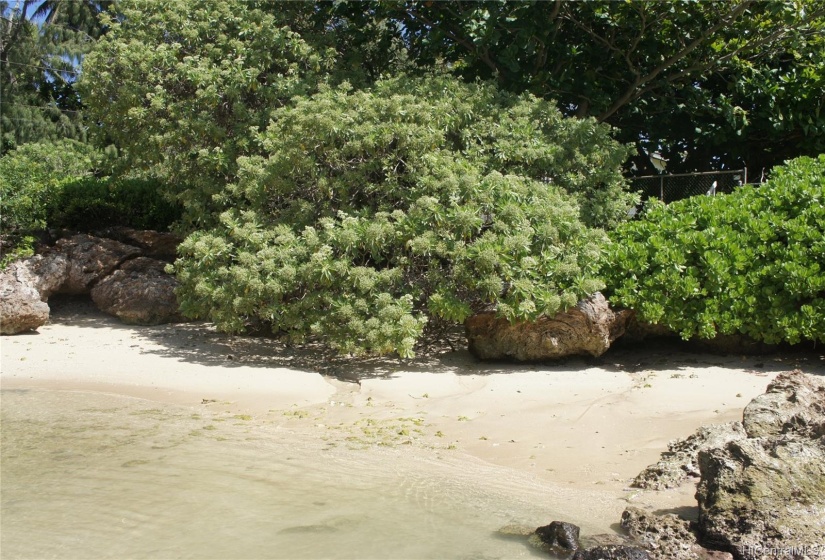 Low tide just off the property.