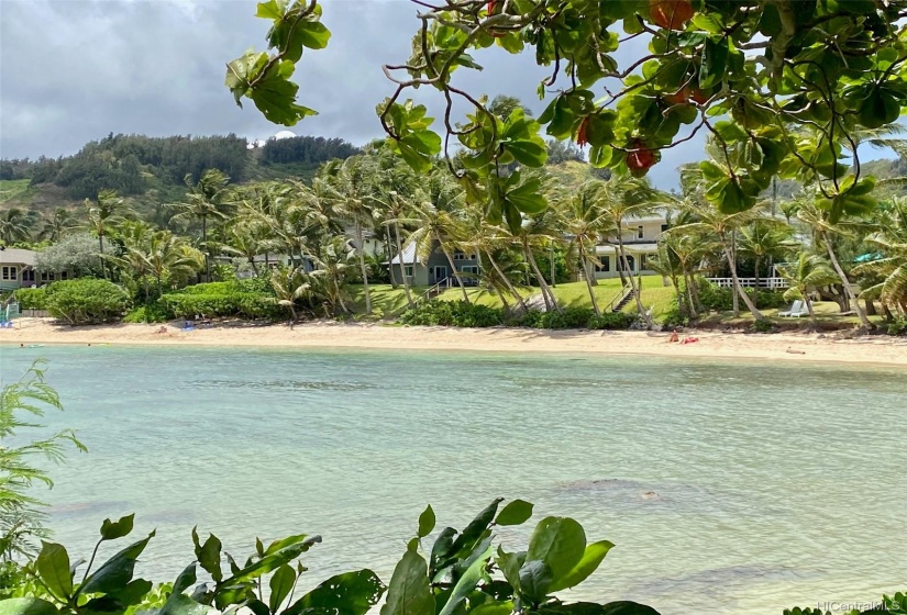 Lagoon like! Your corner of West Kawela Bay is indeed a special place.