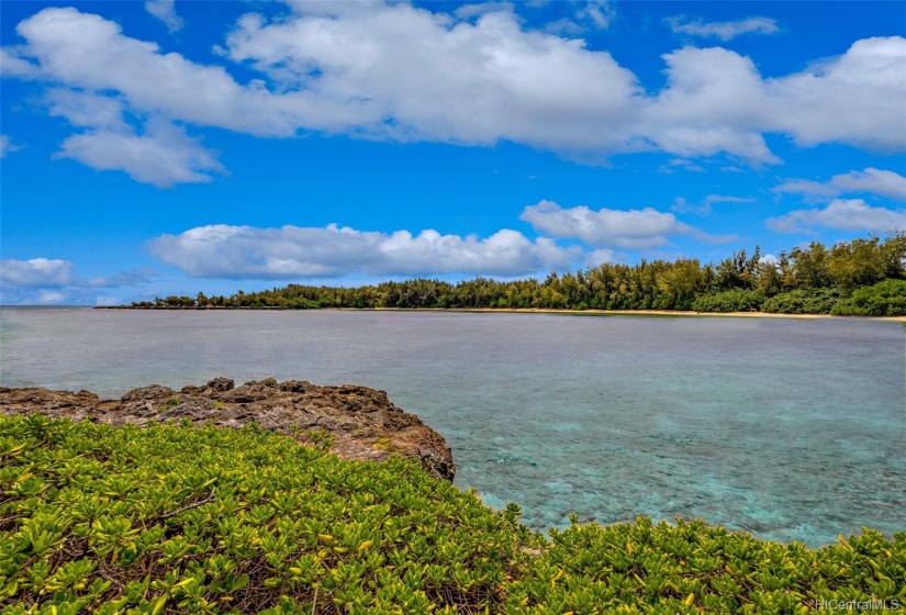 Paradise right here on the North Shore of O'ahu. The tranquility of this place is incredible. Snorkle or swim right here.