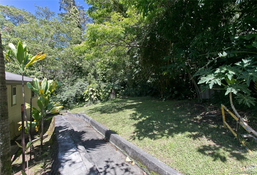 Lush greenspace surround the home