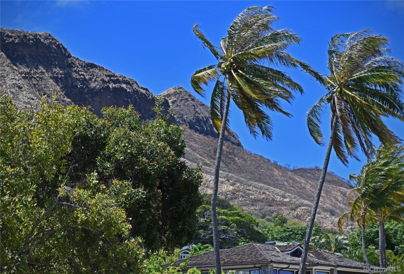 Views of Diamond Head