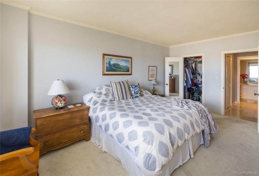 Another view of the bedroom with walk-in closet that opens to bedroom as well as hall area.