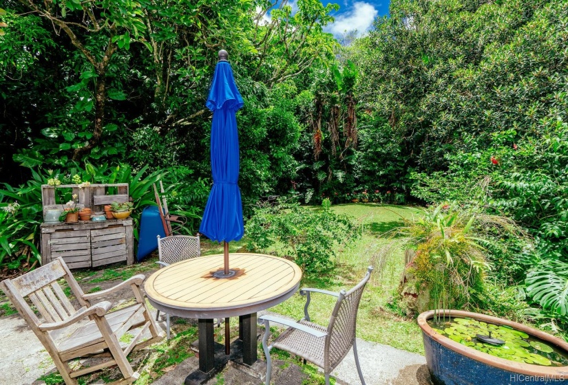 Back yard veranda looking into the forest with song birds abound.