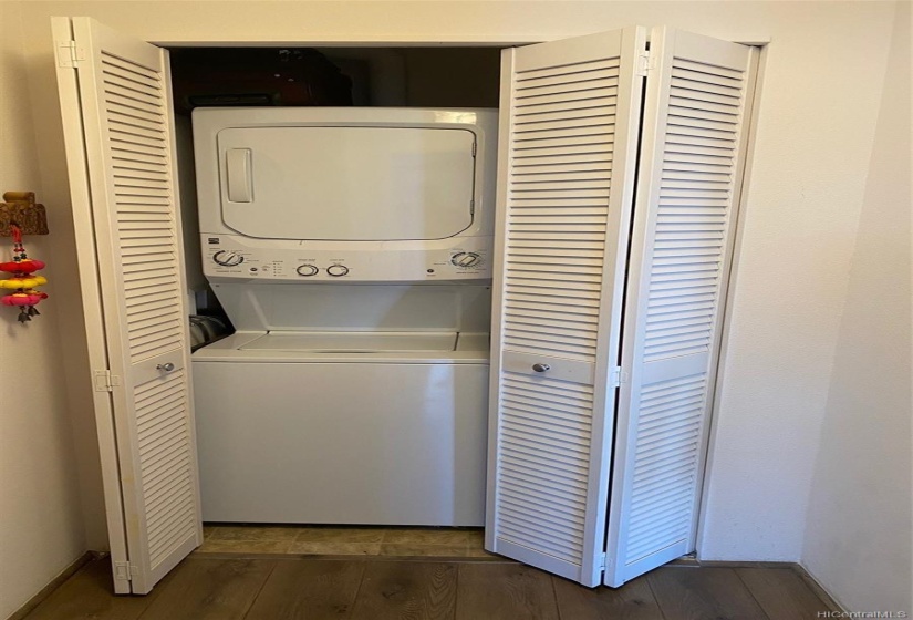 Washer and dryer conveniently stored