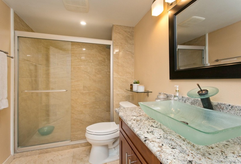 Lower level full bathroom no. 2