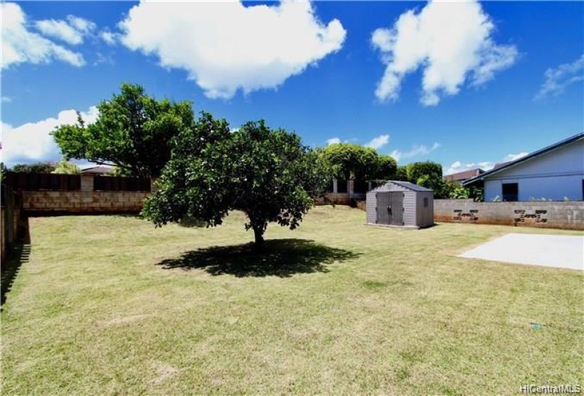 Large backyard with orange tree