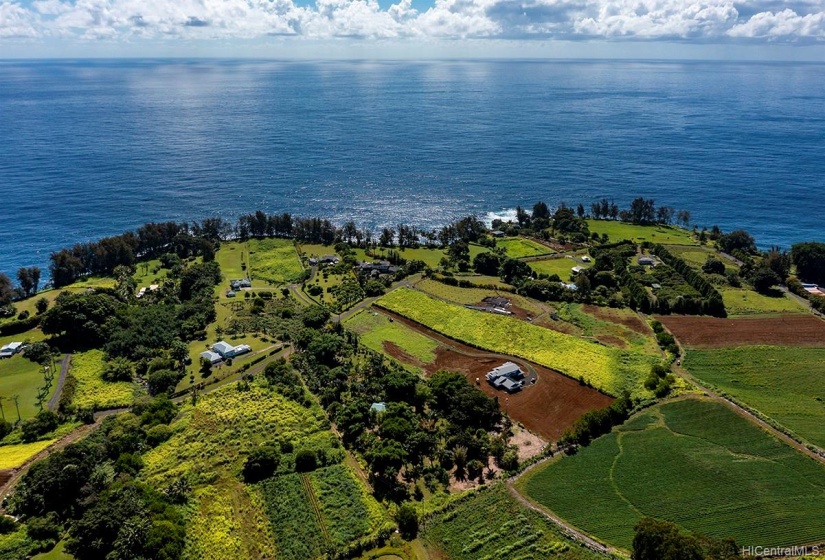 Pepeekeo point borders land that goes to the ocean. Owners have access.Community is gated.