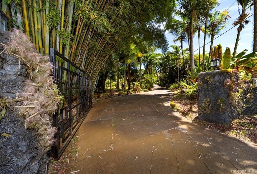 Enter a private gate along a long driveway surrounded by some of the most amazing landscaping. The driveway was stained and cut to have a terra cotta look. Nothing like it.