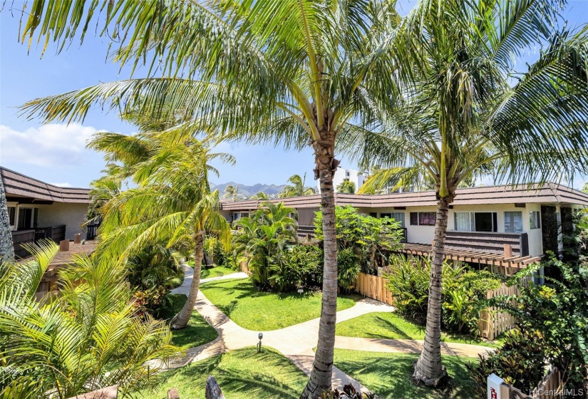 treetop views of the complex