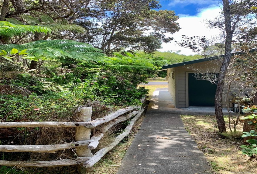 Lush forest landscaping creates a nice privacy buffer from the street and neighbors.