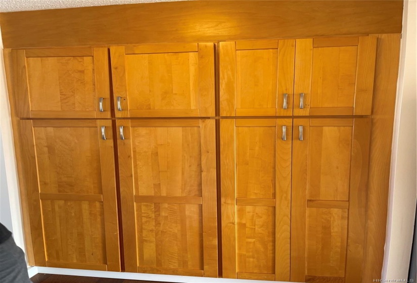 Custom storage space right next to the kitchen area.  The water heater is also housed here.