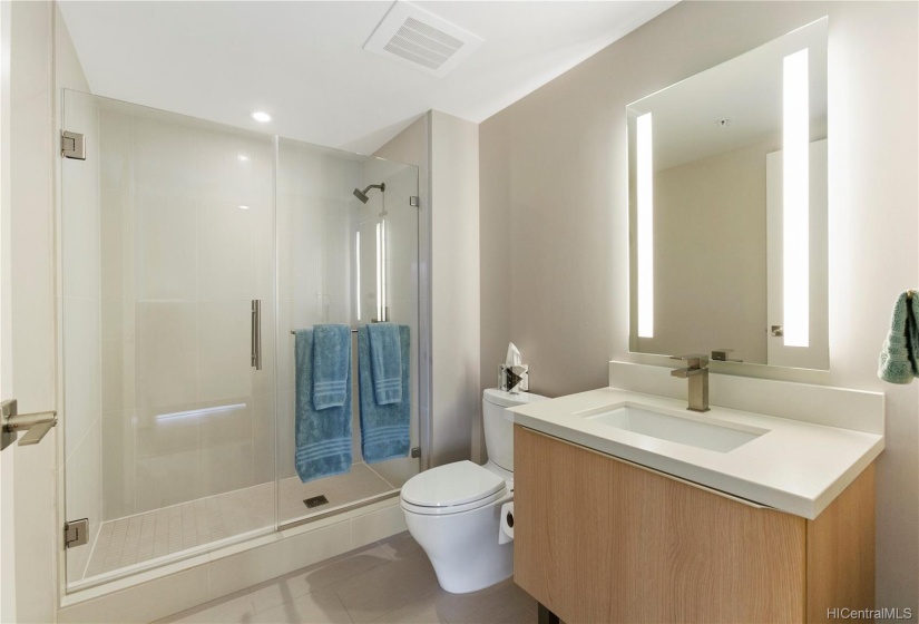 Guest bathroom with sot hower