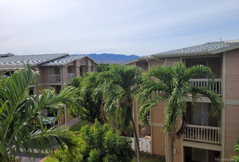 View form Lanai