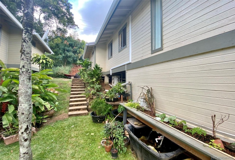 Aquaponics, stairs to backyard & space under the house