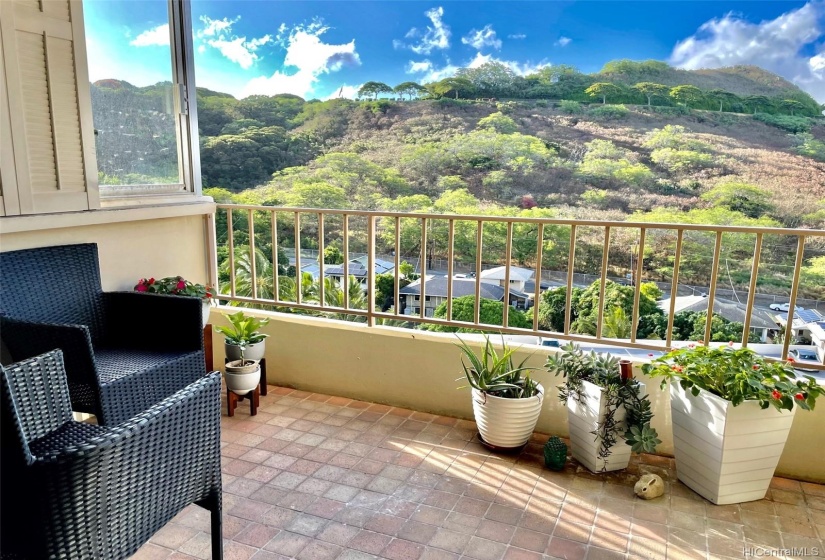 Usable lanai with view