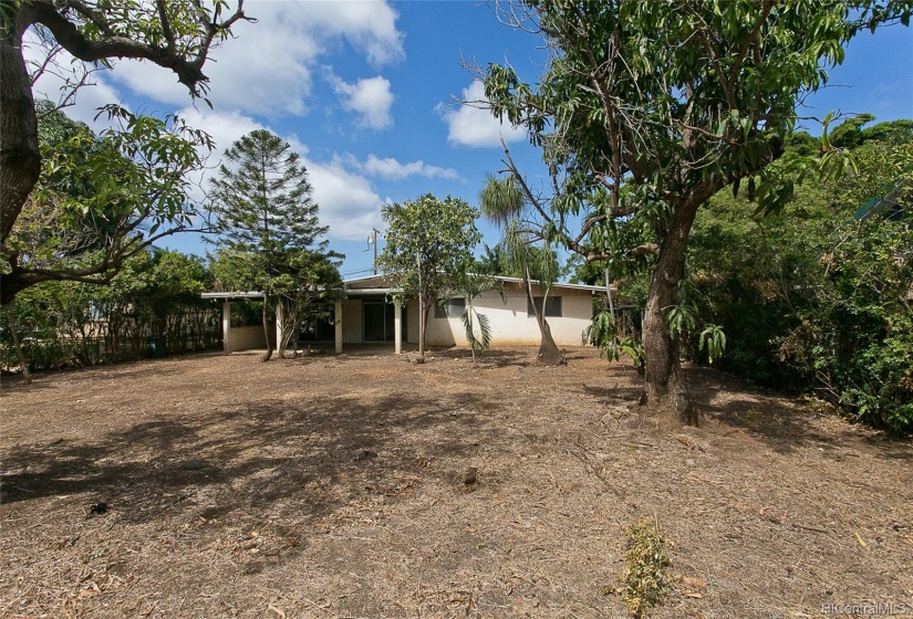 View from backyard looking at house