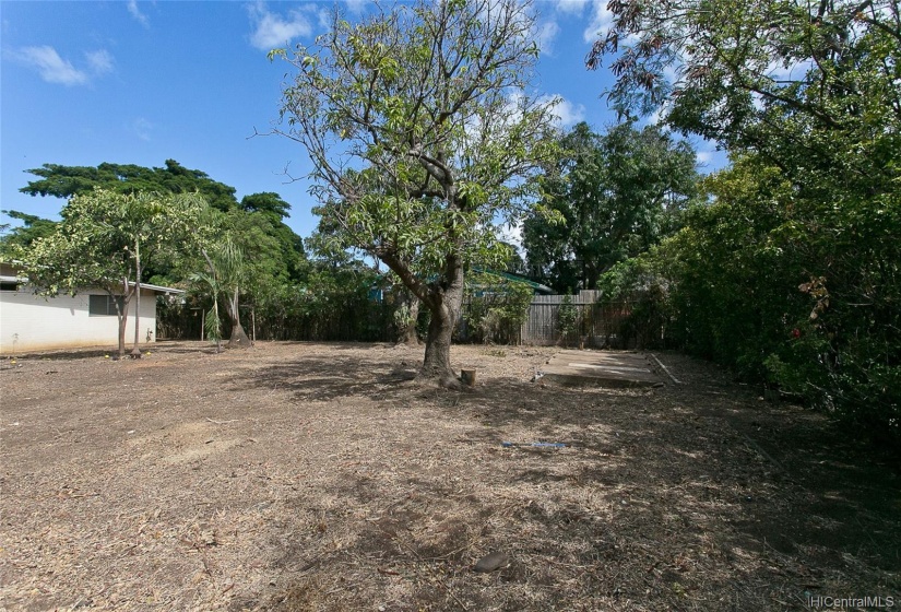 View from backyard looking towards house