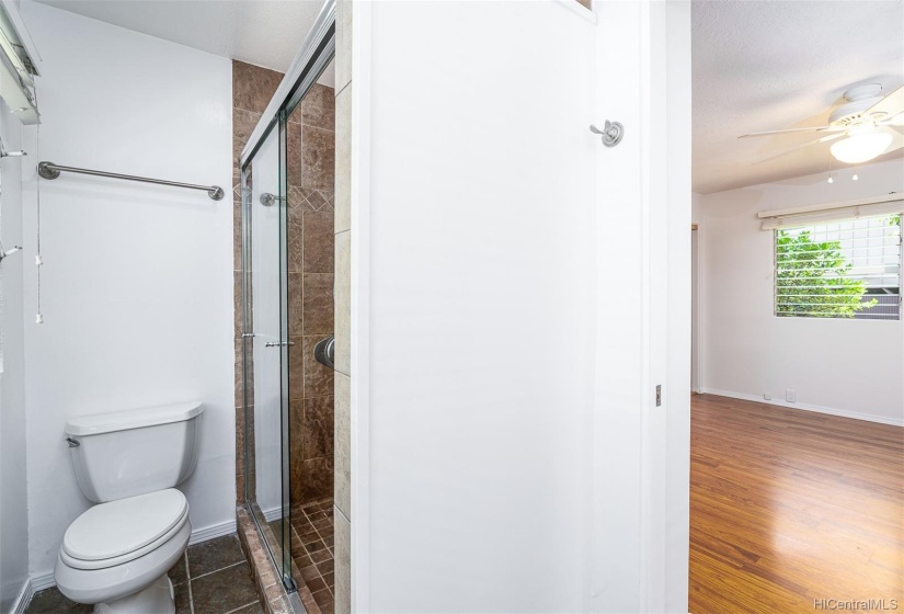 Master bathroom shower