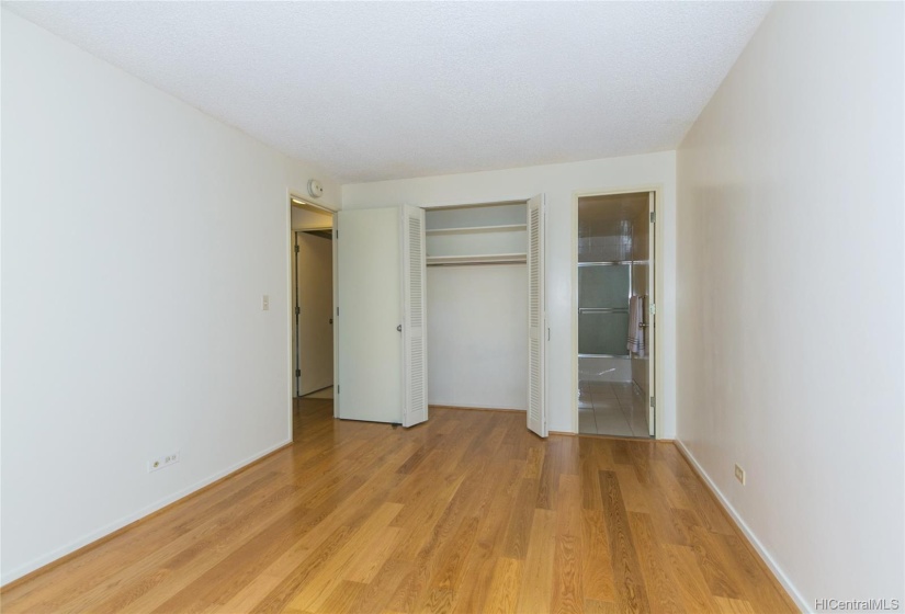 The 2nd closet and the ensuite bathroom