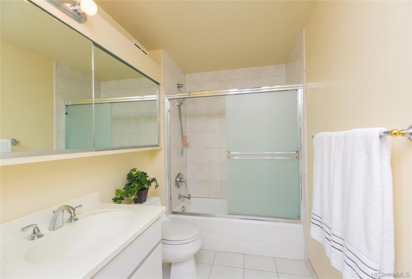 A large mirrored medicine cabinet, a tub/shower, and new fixtures