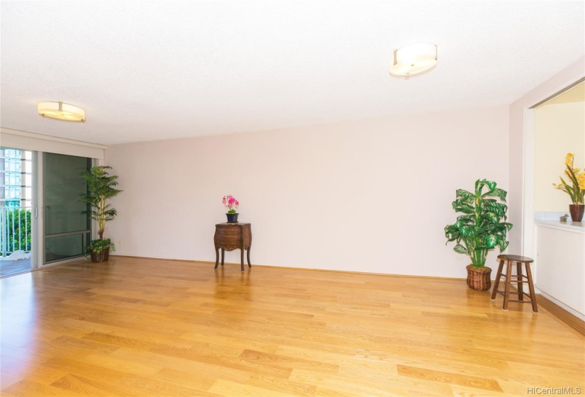 From the entryway, the spacious living and dining area with kitchen to the right