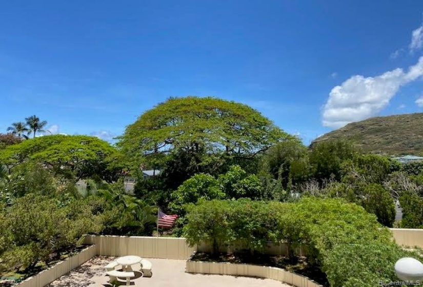 Center View from lanai