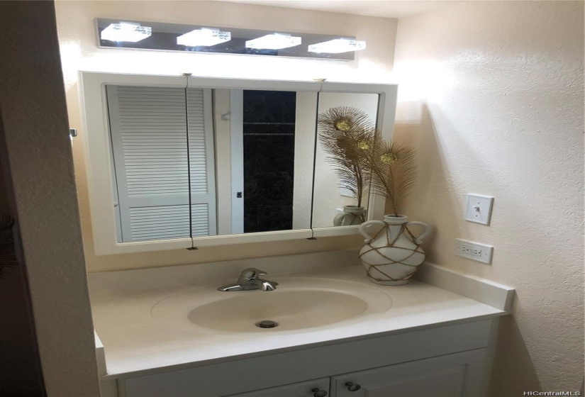 There are 2 bathrooms vanities. This is the smaller of the 2 closer to the guest bedroom.