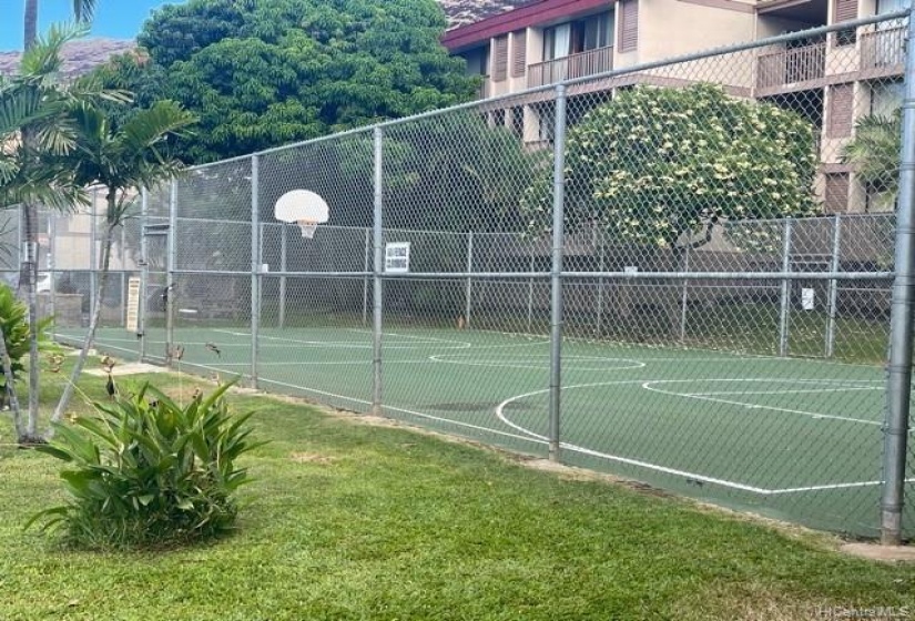 Basketball Court