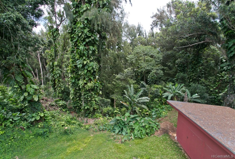 No back neighbors, just the forest of Pupukea highlands.