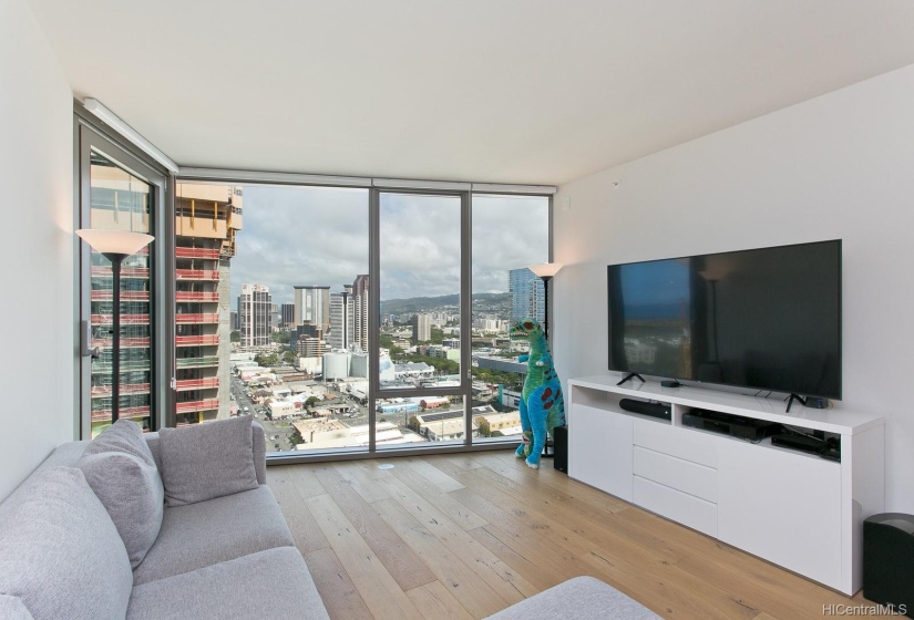 Enjoy Ocean and Mountain View from Living Room!