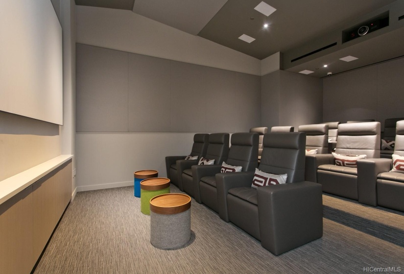 Private Movie Theater