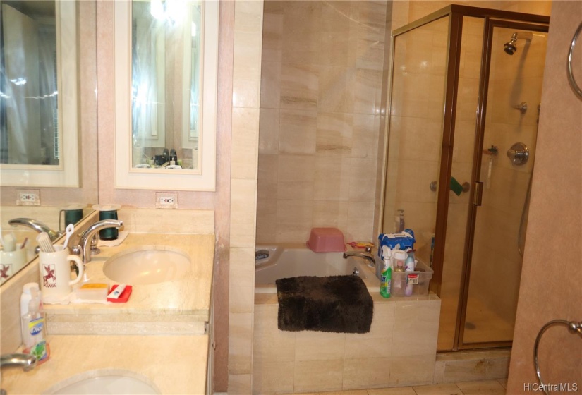 Master Bathroom with Double Sinks and Separate Tub & Shower