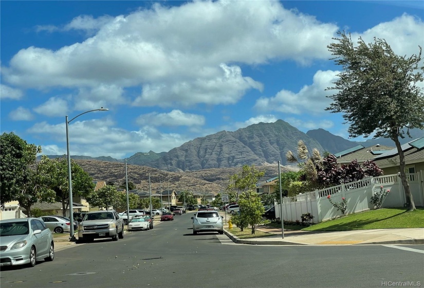 Serene street view and mountains