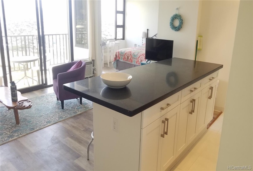 Nicely renovated with soft close cabinets and drawers and black onyx quartz counter top.