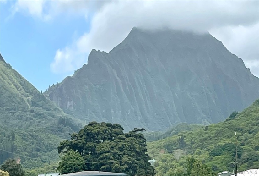 Koolau Mountains are your backdrop