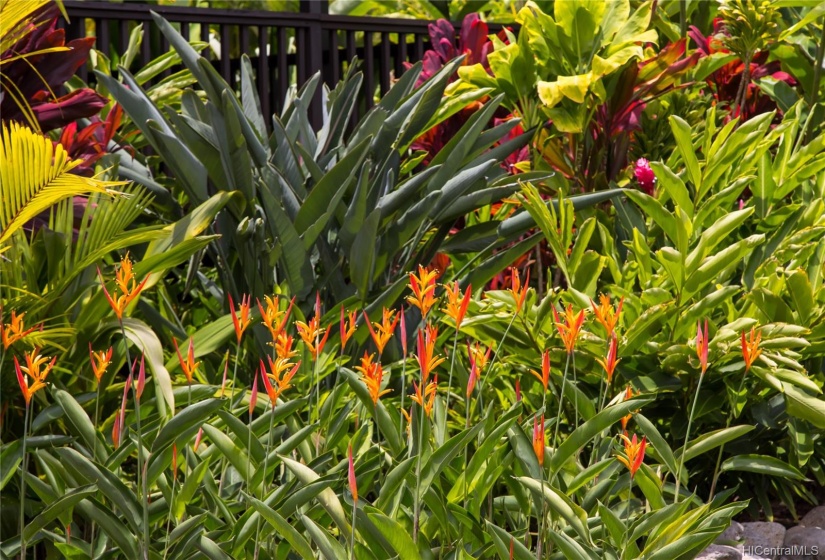 Island flowers are everywhere! Professionally landscaped grounds.