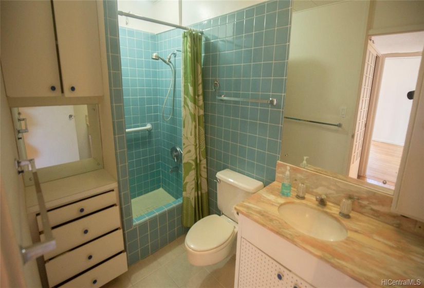 Bathroom, with shower, toilet, and the sink.