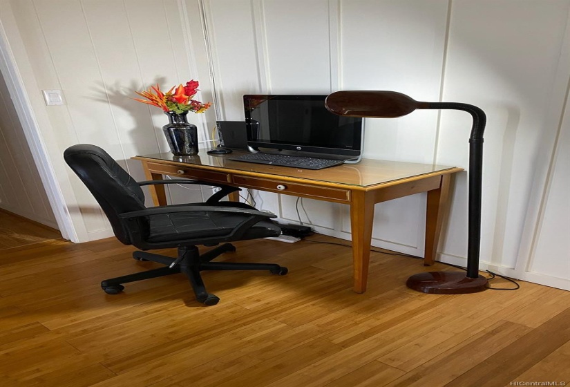 Computer, Monitor and the Desk.