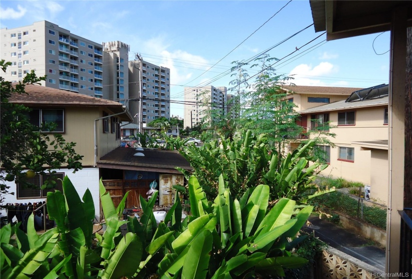 View from Lanai