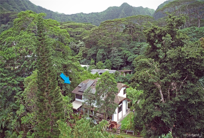 Your private oasis is Manoa Valley!  Note the many solar panels.