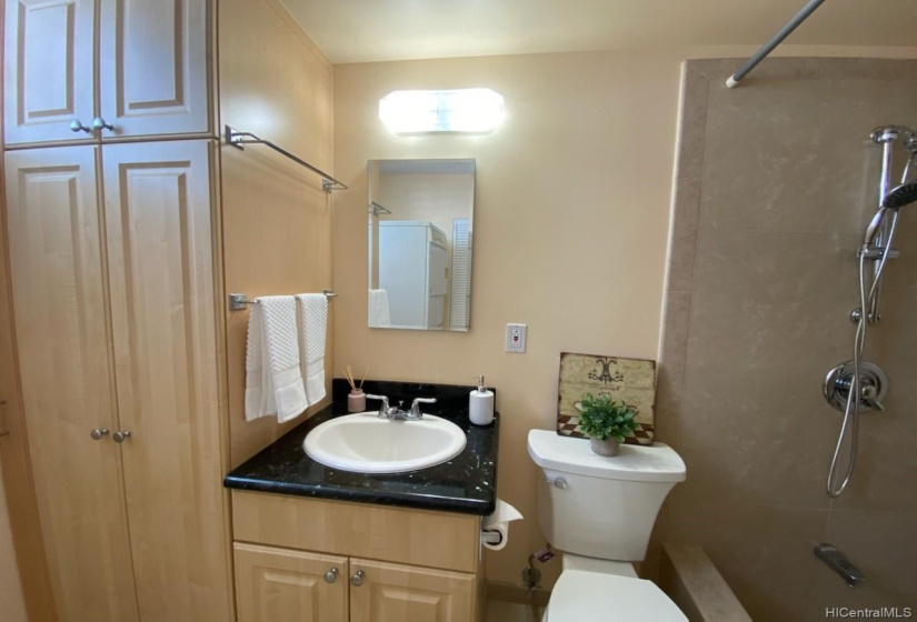 Remodeled bathroom, new toilet, step in shower/bath.